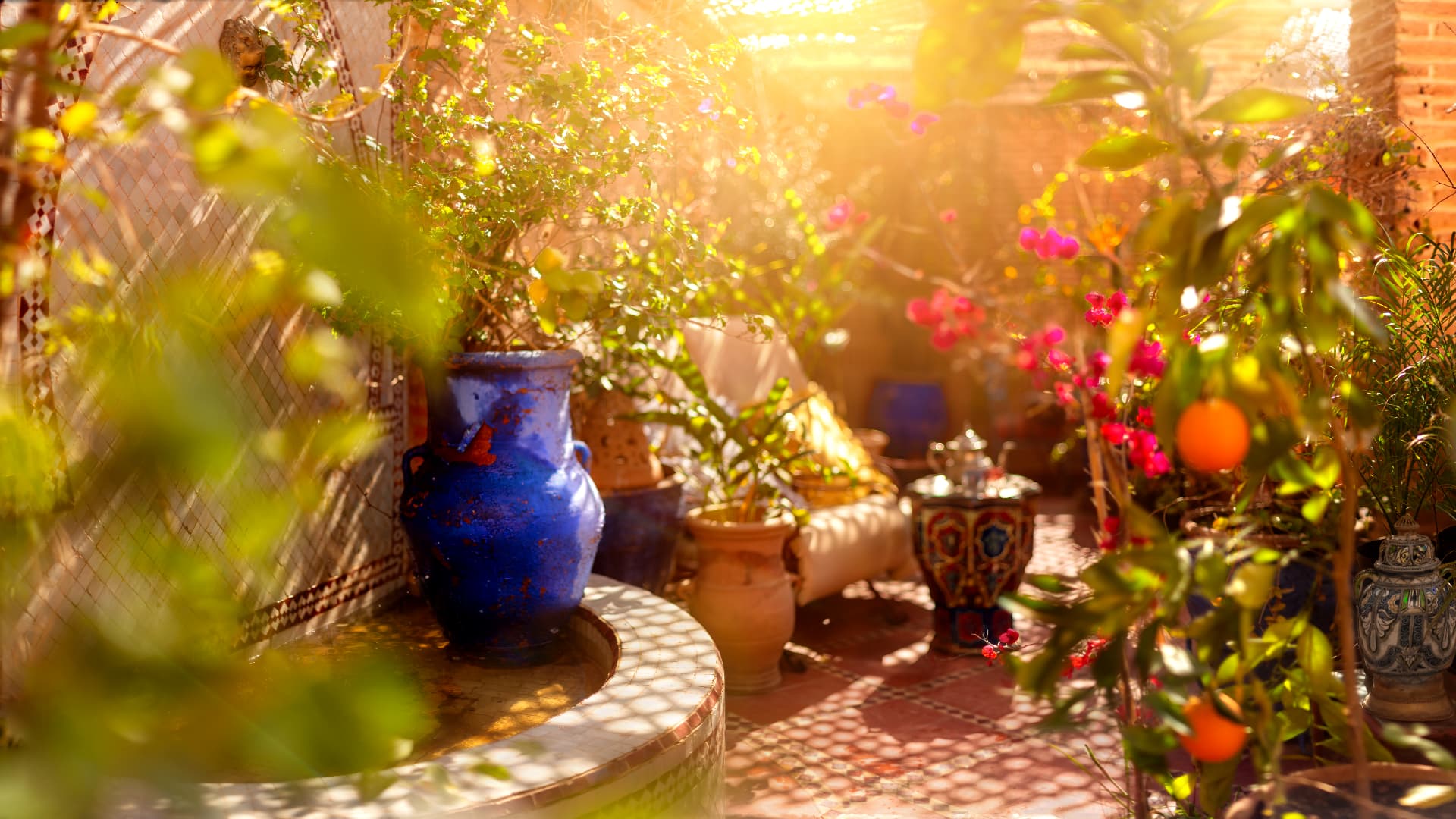 Riad Persephone on Instagram